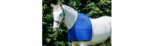 Horse Cover accessories and fly masks