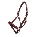 Platinum Raised Padded Leather Halter