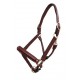 Platinum Raised Padded Leather Halter