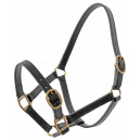 Platinum Leather Show Halter