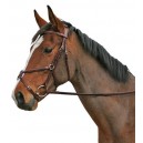 Cavallino Mexican Grackel Bridle