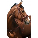 Cavallino Padded Hanoverian Bridle