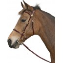 Cavallino Inhand Bridle