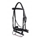 Platinum Dressage Bridle