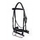 Platinum Dressage Bridle